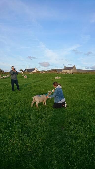 Skellig View Bluebell Rose & The Kerry Cliffs Apartment Portmagee ภายนอก รูปภาพ