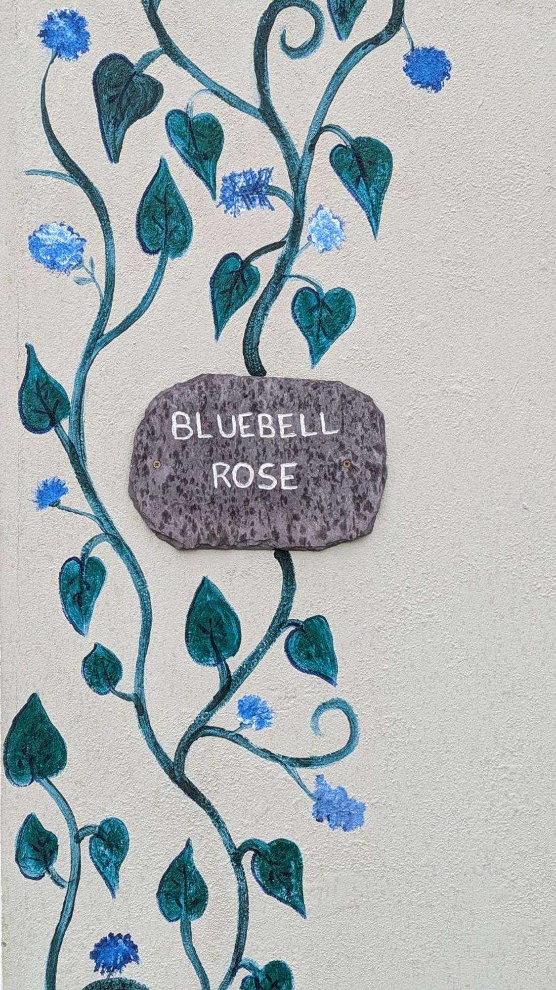 Skellig View Bluebell Rose & The Kerry Cliffs Apartment Portmagee ภายนอก รูปภาพ